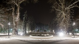 Park Szachowy - zima 2010/2011