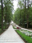 Park Różaneczników - widok na Pijalnię