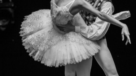 Koncert baletowy dla Przyjaciół z Ukrainy Kliknięcie w obrazek spowoduje wyświetlenie jego powiększenia